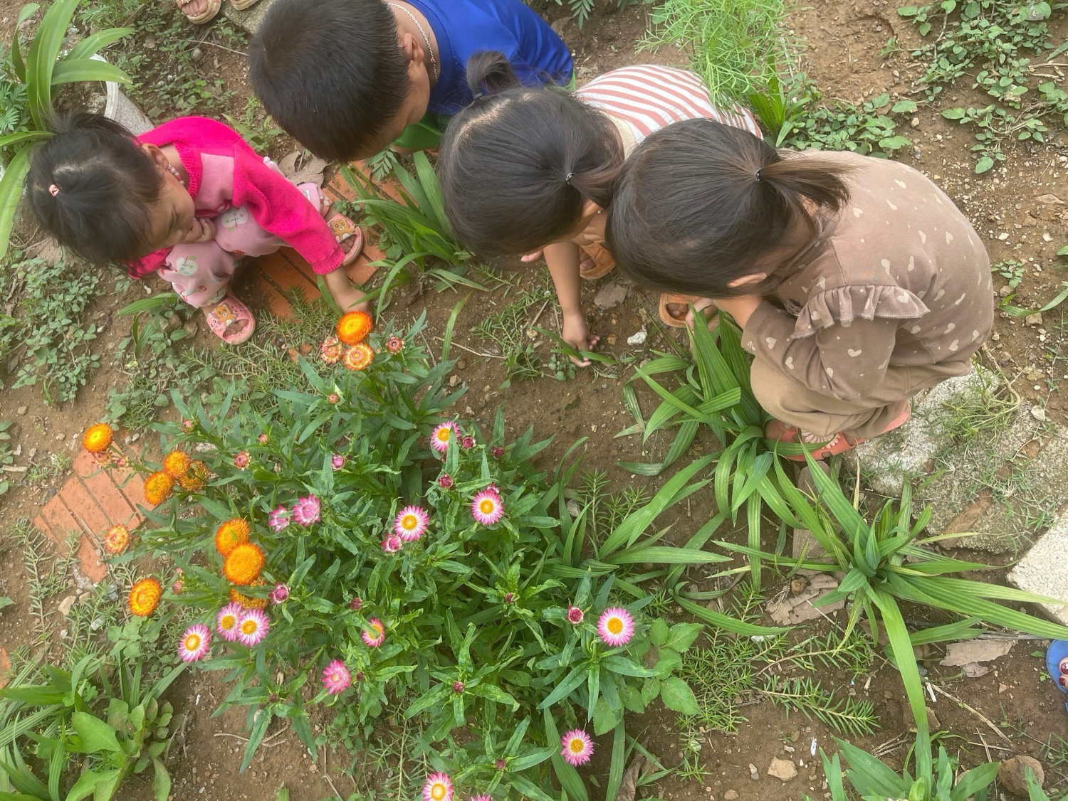 z6591402867549 24565abffc4bb280b35c7d0908b60579