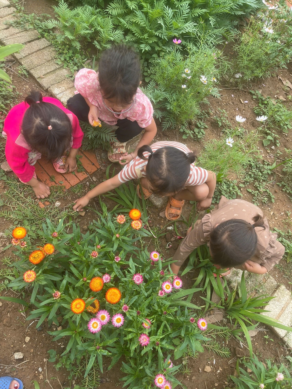 z6591402884447 f47302bd6bd7fe94357f9d44b2fa0ee9